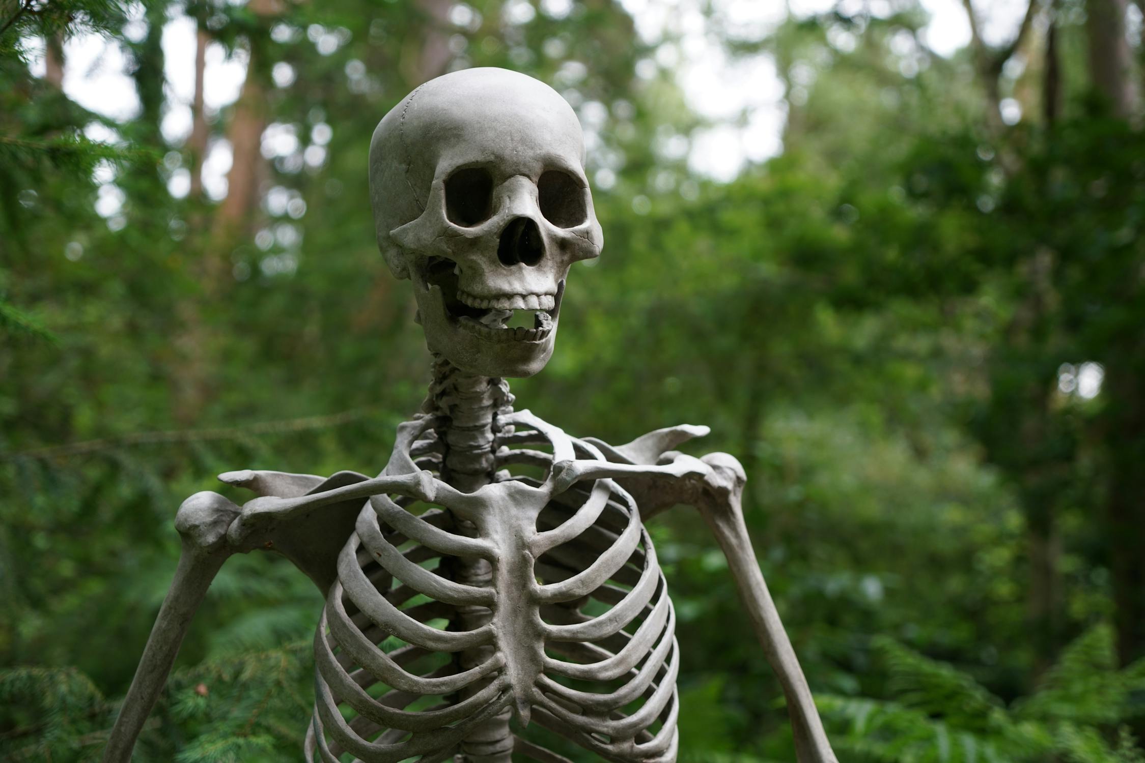 What You Need to Develop Strong Bones 1 pexels photo 1528375